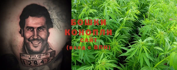 ПСИЛОЦИБИНОВЫЕ ГРИБЫ Белоозёрский
