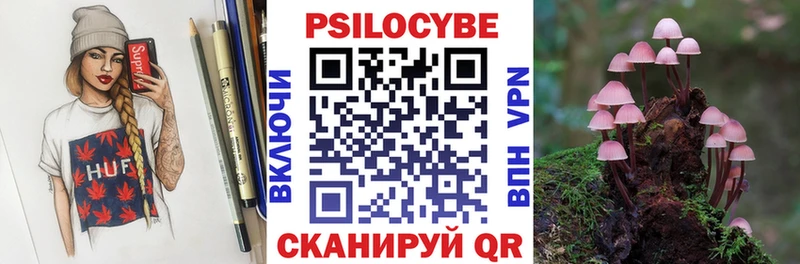 Галлюциногенные грибы Psilocybe  где купить наркоту  Бузулук 