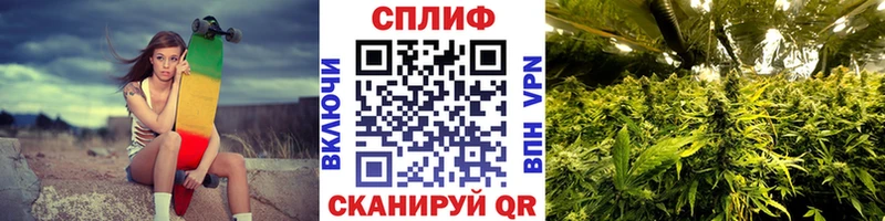 Марихуана план закладка Бузулук